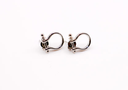 Whimsical White Gold Horseshoe Earrings-0