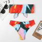 Bowknot Multi-Color Two Piece Swimsuit