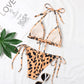 Leopard Print Two Piece Bikini Swimsuit